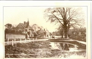 Village pond Drayton, winter  